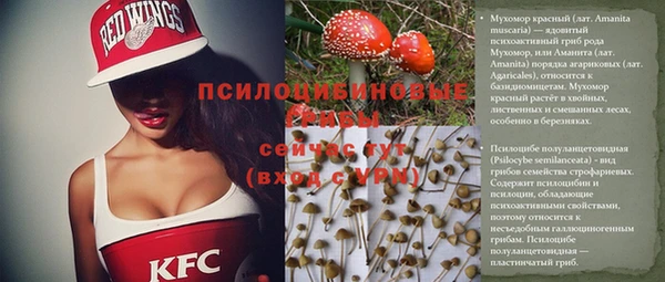 Альфа ПВП Щигры