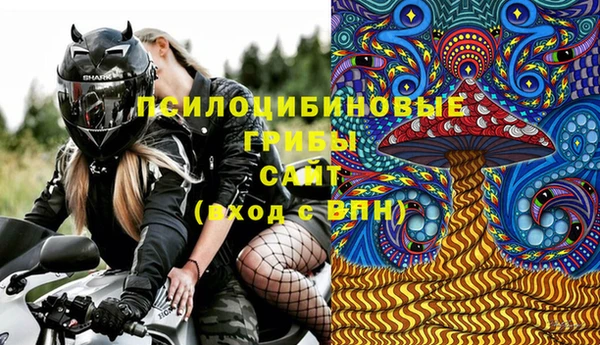 Альфа ПВП Щигры